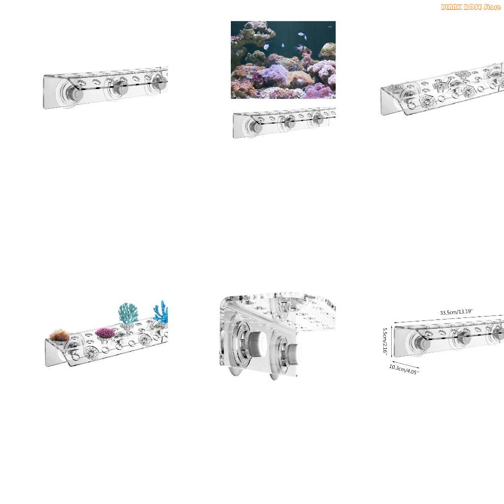 Reef Aquarium - Rak Frag Karang Akrilik K1AE untuk