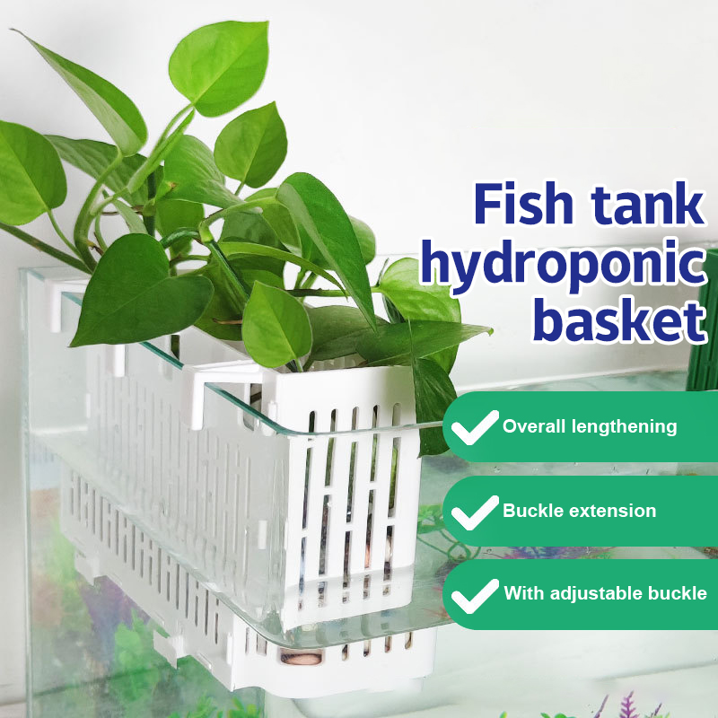 Marine Aquarium - 【F】Wadah Tanaman Gantung untuk Akuarium, Tempat