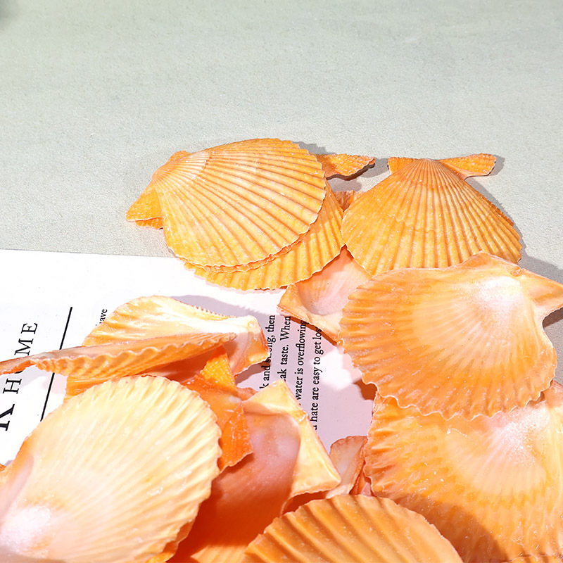 Pemandangan tangki ikan cangka - Marine Fish Tank ulasan dan harga