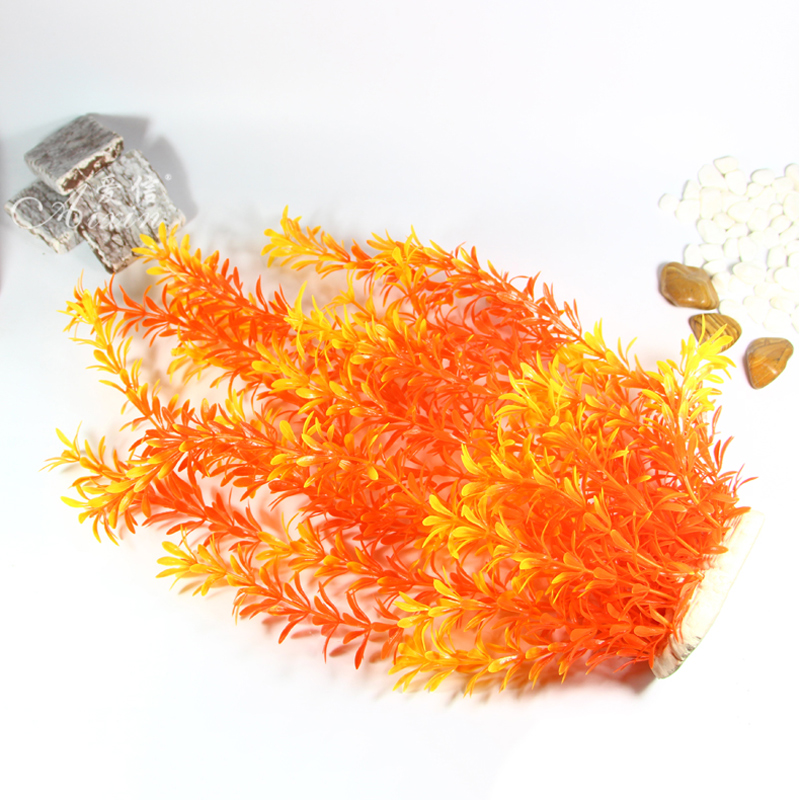 Tanaman Tropis 100cm, Rumput A - Marine Aquarium ulasan dan harga