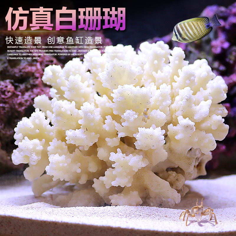 Set Lanskap Pohon Karang untuk - Marine Aquarium Epoxy ulasan dan harga