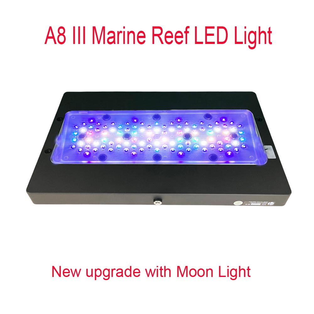 Lampu Akuarium Terumbu Karang  - Reef Lighting ulasan dan harga