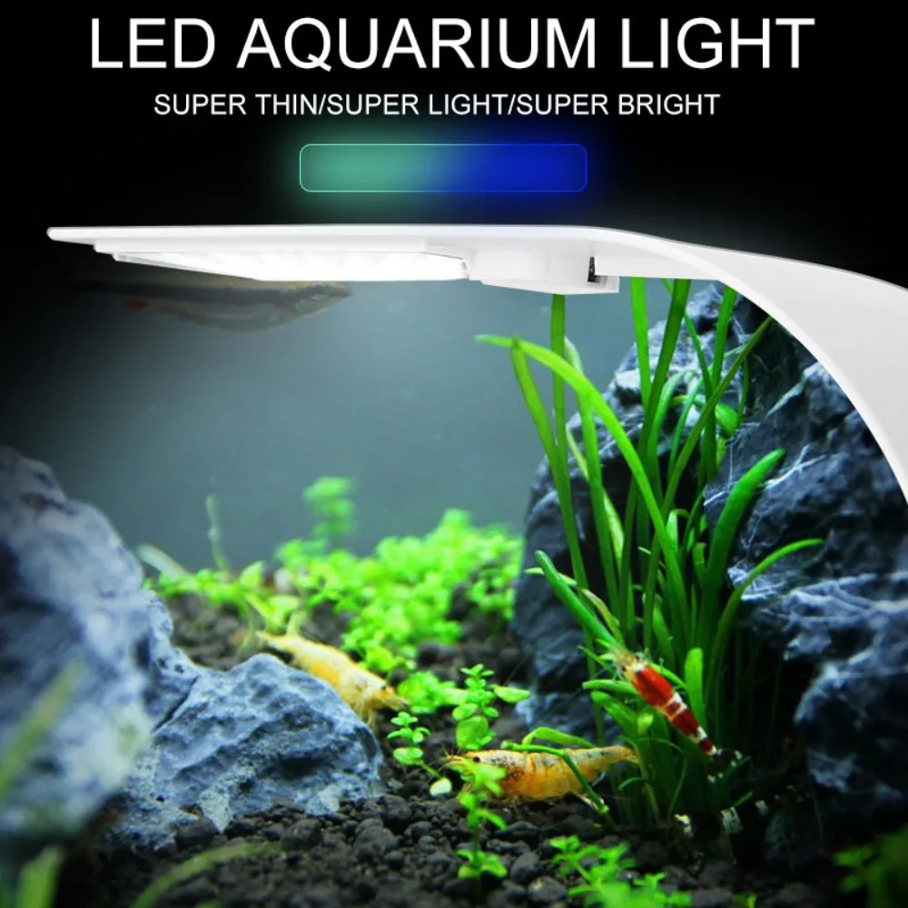 Lampu Akuarium LED Mini 5W, La - Reef Lighting ulasan dan harga