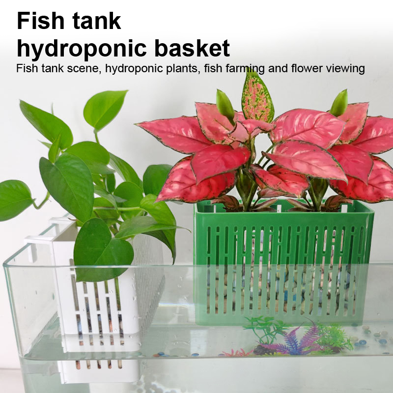 【F】Wadah Tanaman Gantung untuk - Marine Aquarium ulasan dan harga